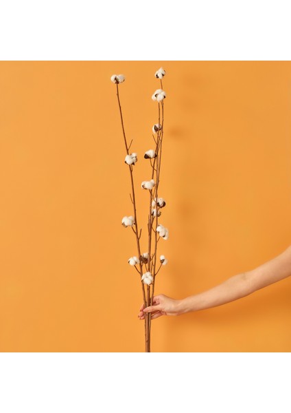 Cotton 4'lü Dal Buket (95 Cm)