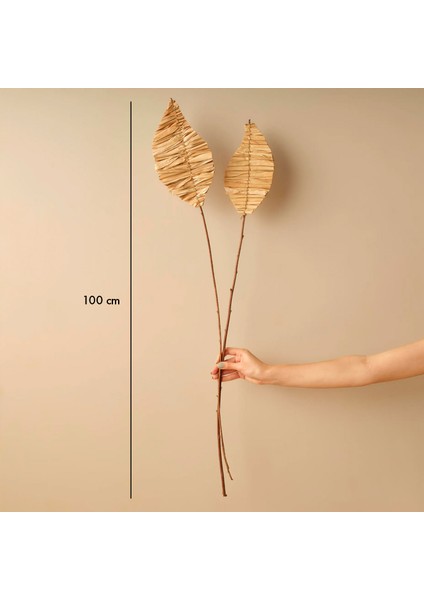 Mulberry Dal Buket Naturel (100 Cm)