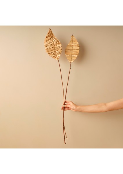 Mulberry Dal Buket Naturel (100 Cm)