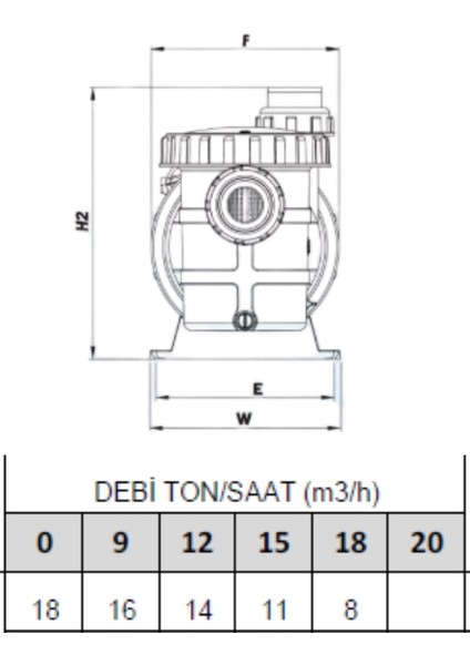 1 Hp Monofaze Ön Filtreli Havuz Pompası