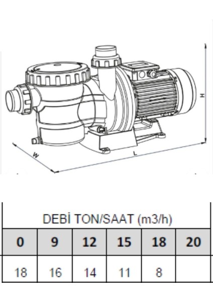 1 Hp Monofaze Ön Filtreli Havuz Pompası