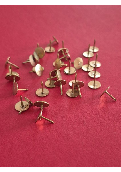 1200 Adet (30 Kutu) Raptiye modelleri