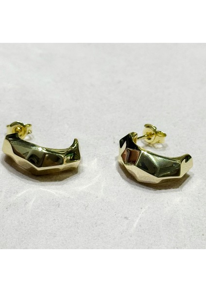 Bendo 2 Gümüş Küpe MS3672