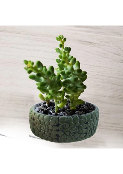 Bonsai Beton Saksı Silikon Kalıp - 184