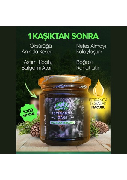 Istranca Dağı Kozalak Macunu: Doğal Sağlığın Gücü fırsatları