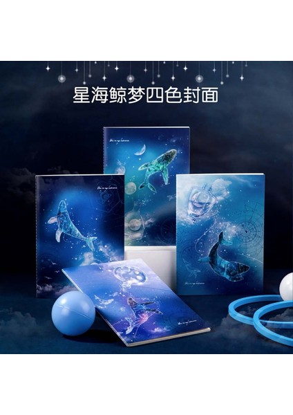 Notebook B5 40YP Whale Dream Defter QFB540 modelleri