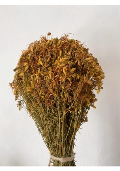 Sarı Kantaron Otu Çiçek Çayı 100 gr modelleri