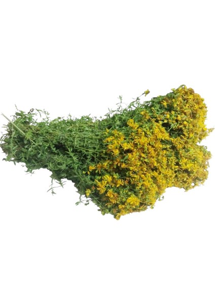 Sarı Kantaron Otu Çiçek Çayı 100 gr fırsatları