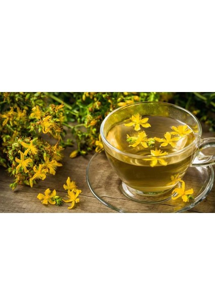 Sarı Kantaron Otu Çiçek Çayı 100 gr indirimleri