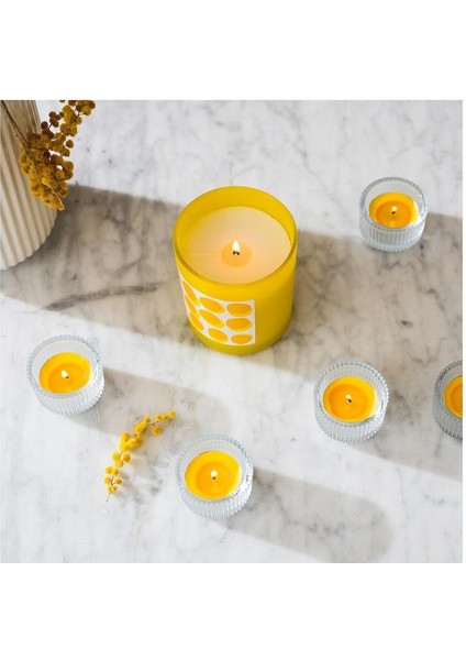 Svartoxbar Kokulu Tealight Mum Sarı 3.5 Saat 30 Adet Mimoza