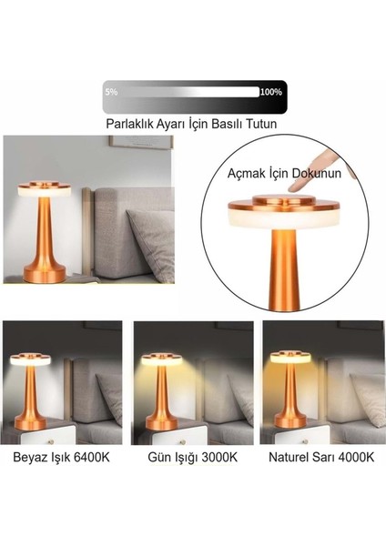Retro Şarjlı Dekoratif Dokunmatik Metal Masa Lambası 3 Renk Mod Dim Edilebilir modelleri