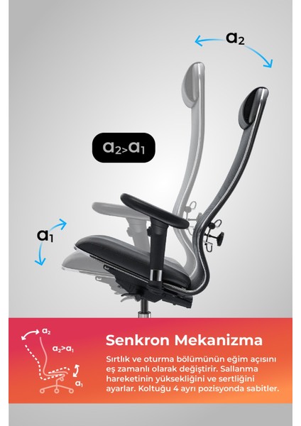 Ergolife Fileli ve Deri Yönetici Koltuğu - Ofis Sandalyesi 1F6.7.1.544 / 0010460 - Siyah
