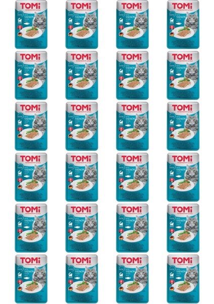 Pate Somon ve Yumurtalı Yetişkin Kedi Konservesi 100GR - 24 Adet