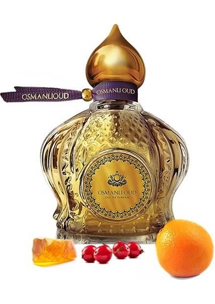 Warriors Demiralp EDP 65 ML Erkek Parfümü – Odunsu Meyvemsi – 4110