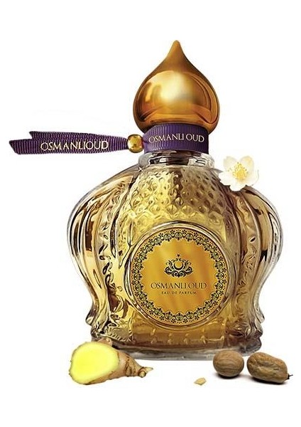 Warriors Celebi EDP 65 ML Erkek Parfümü – Odunsu Aromatik – 4108