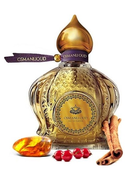 Warriors Emir EDP 65 ML – Aromatik Baharatlı Erkek Parfümü – 4123