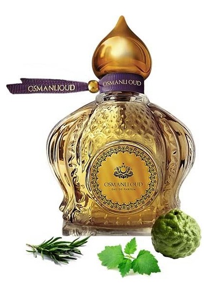 Warriors Fahreddin EDP 65 ML Erkek Parfümü – Aromatik Fresh – 4119