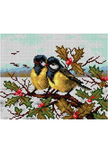 Baskılı Goblen Kuşlar 2211 24*34 cm