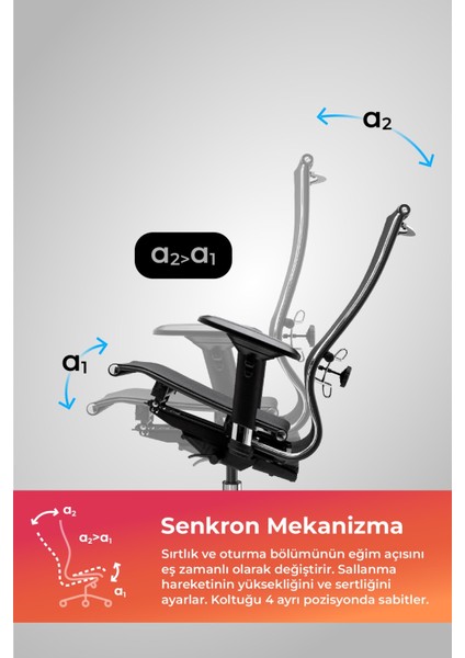 Ergolife Synchrosit 10 Ergonomik Ofis Sandalyesi | Tekerlekli, Fileli Çalışma Sandalyesi-1FC.3.1.544 modelleri