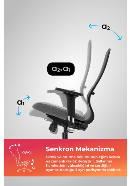 Ergolife Synchrosit 8 Ergonomik Ofis Sandalyesi | Tekerlekli, Fileli Öğrenci Sandalyesi -297.D.1.2F3 modelleri