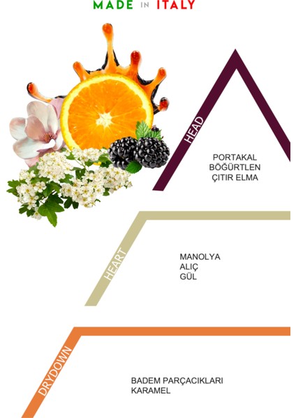 Gigi - Oto Araç Kokusu, Araba Klima Kokusu, Oto Kokusu - Mulberry fiyatları