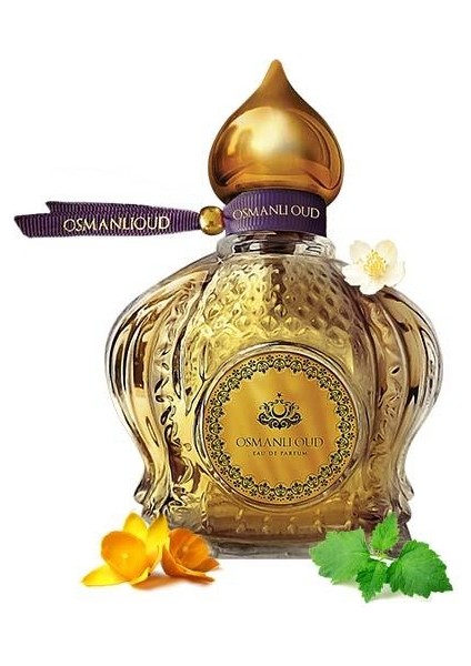 Warriors Erva EDP 65 ML Kadın Parfümü – Amber Vanilya – 4426