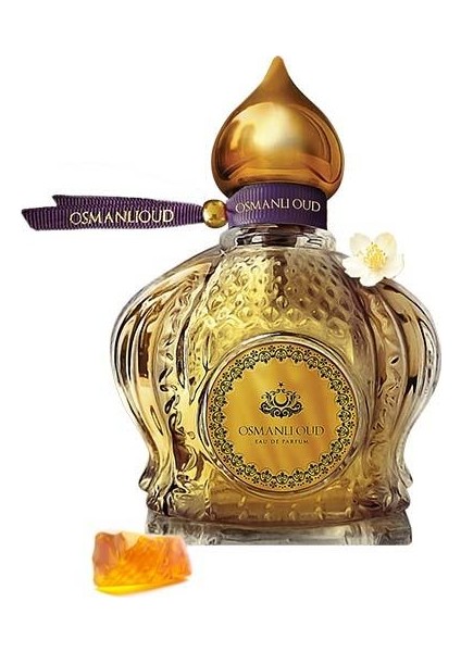 Warriors Gülgonca EDP 65 ML Kadın Parfümü – Amber Odunsu – 4424