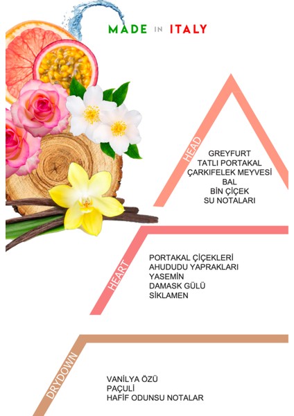 Gigi - Oto Araç Kokusu, Araba Klima Kokusu, Oto Kokusu - Passion Fruit fiyatları