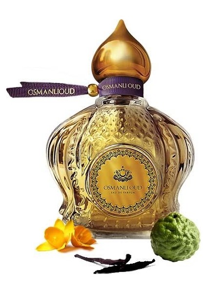 Warriors Evra EDP 65 ML Kadın Parfümü – Amber Vanilya – 4430