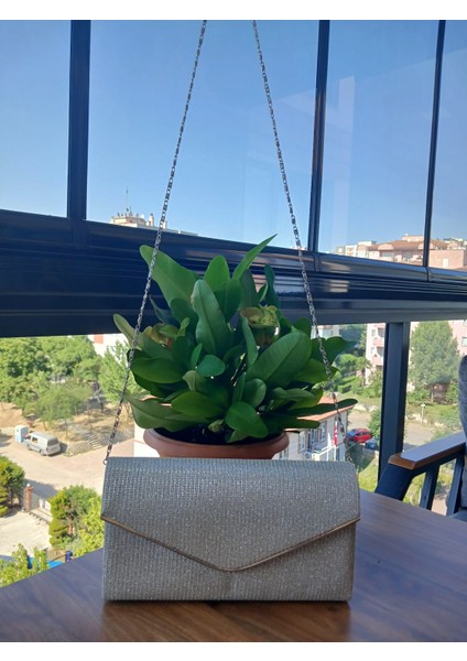 Wolını Bayan Simli Abiye Omuz Çantası fiyatları