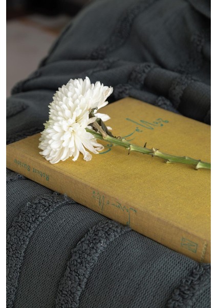 Çift Kişilik Trıkolu Battanıyelı Set Stampıno Petrol - Nevresım fırsatları