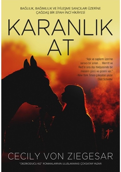 Karanlık At - Cecily Von Ziegesar