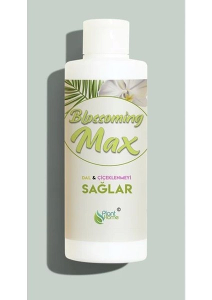 Blossomingmax - Orkideler Için Dal ve Çiçek Destekleyici Premium Besin 100 ml
