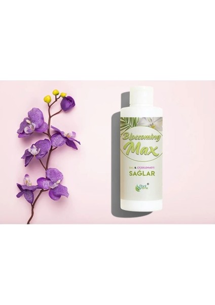 Blossomingmax - Orkideler Için Dal ve Çiçek Destekleyici Premium Besin 100 ml fiyatları