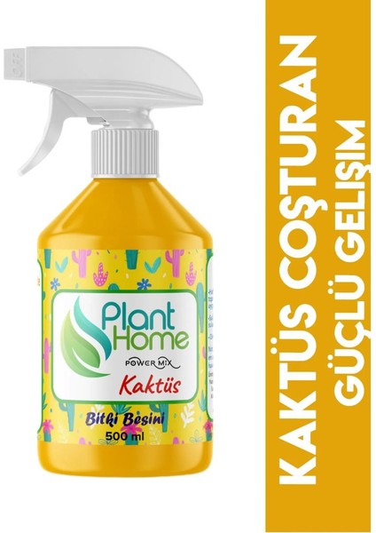 En Iyi Kaktüs Besini - Kaktüslerde Güçlü Gövde ve Kök Yapan Premium Seri