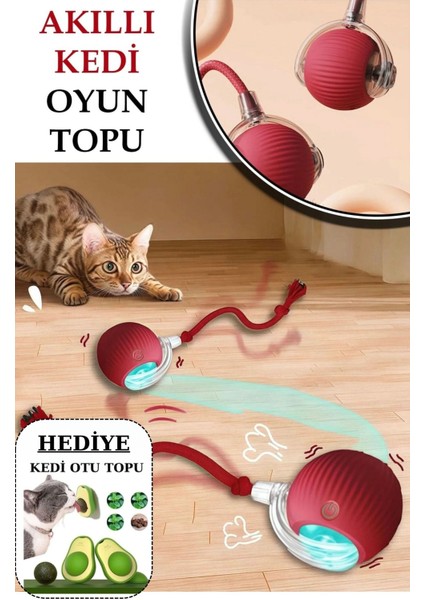 Kedi Köpek Hareketli Ipli Oyun Topu Oyuncağı + Kedi Otu Topu