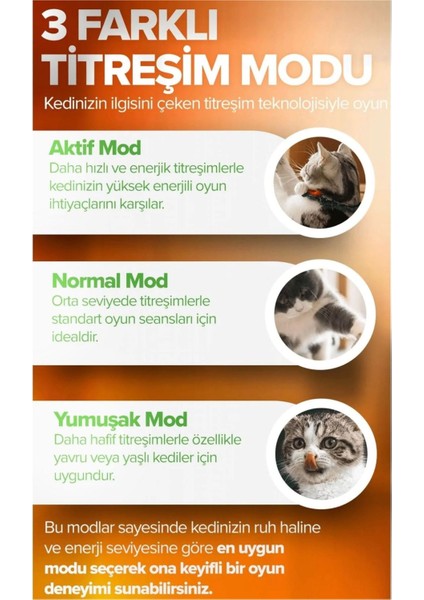 Kedi Köpek Hareketli Ipli Oyun Topu Oyuncağı + Kedi Otu Topu fiyatları