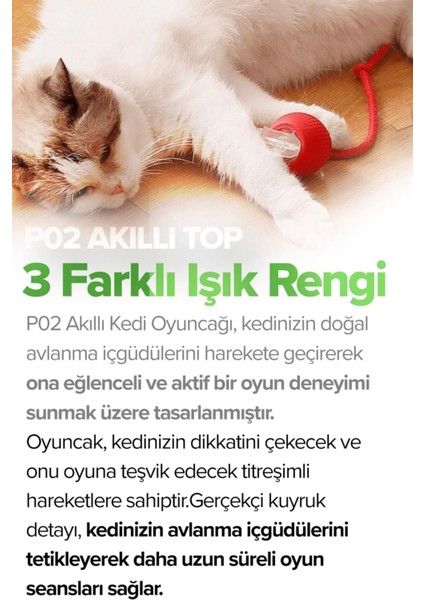 Kedi Köpek Hareketli Ipli Oyun Topu Oyuncağı + Kedi Otu Topu modelleri