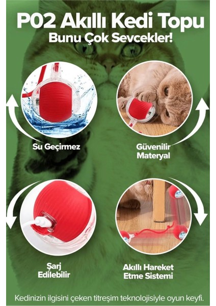 Kedi Köpek Hareketli Ipli Oyun Topu Oyuncağı + Kedi Otu Topu indirimleri