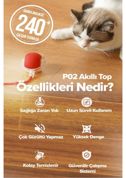Kedi Köpek Hareketli Ipli Oyun Topu Oyuncağı + Kedi Otu Topu