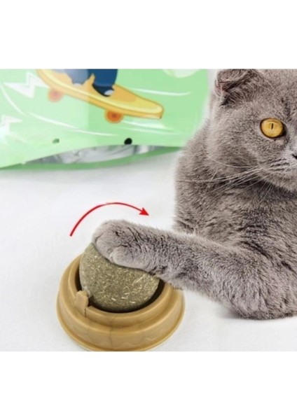 Renkli Kedi Oyun Topu, Eğlence ve Aktivite Için Keyifli Bir Seçenek