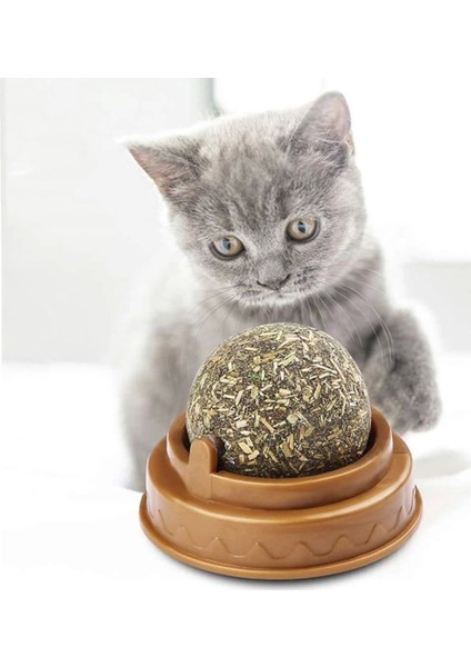 Renkli Kedi Oyun Topu, Eğlence ve Aktivite Için Keyifli Bir Seçenek