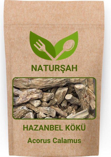Hazanbel Kökü / Acorus Calamus 100 gr