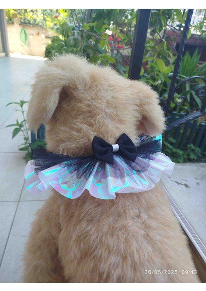 Kedi &köpek Tasma Parti Yakalık modelleri