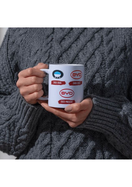 Byd Logo Tarihçesi Baskı Kupa Bardak indirimleri