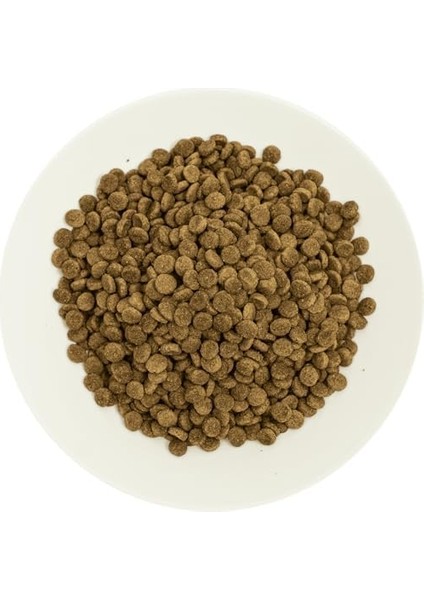 Prochoice Pro 33, Kısırlaştırılmış Kediler Için, Hipoalerjenik, Somon Balıklı ve Karidesli Kuru Mama, 2 kg