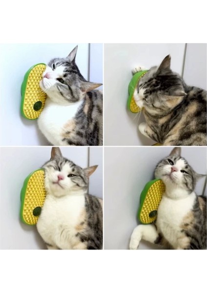 Çok Renkli Silikon Kaşıyıcılı Kedi Otu, Sağlıklı ve Keyifli Kullanım