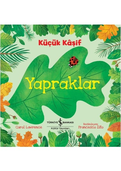 Küçük Kâşif - Yapraklar - Carol Lawrence