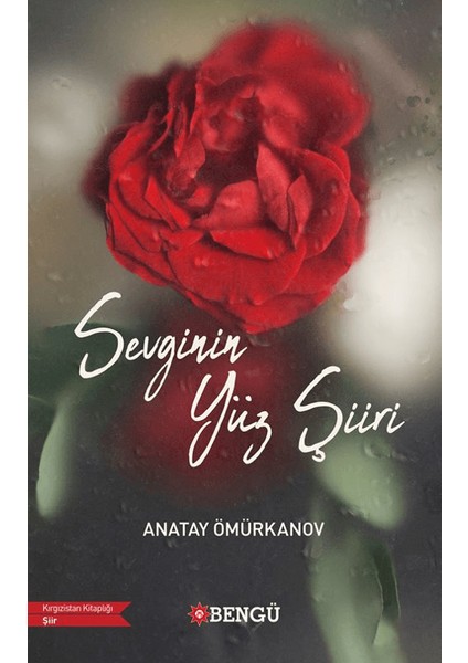 Sevginin Yüz Şiiri