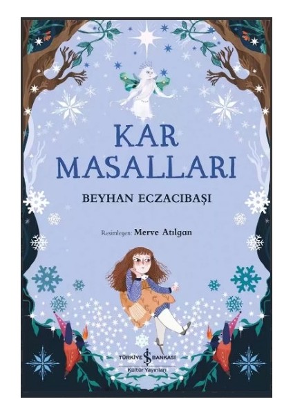 Kar Masalları